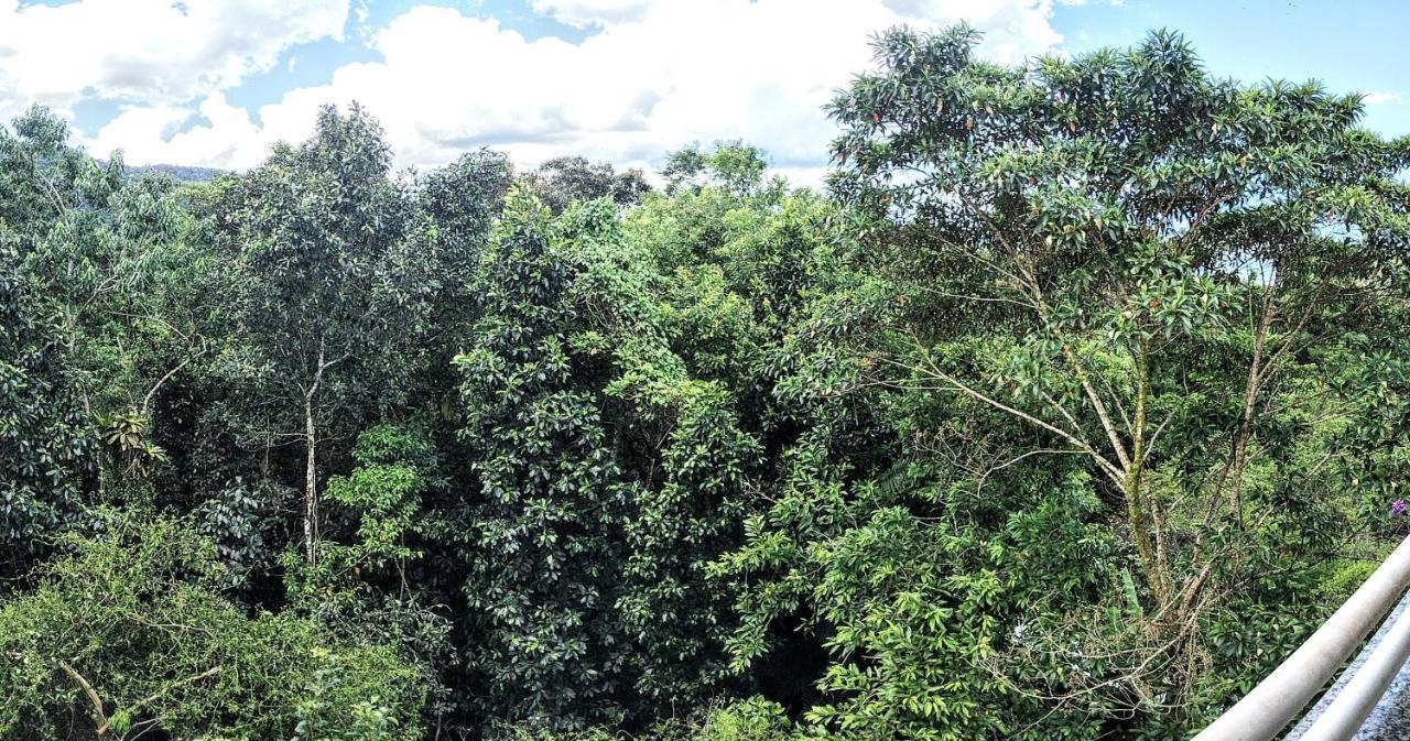 Centro De Ubatuba